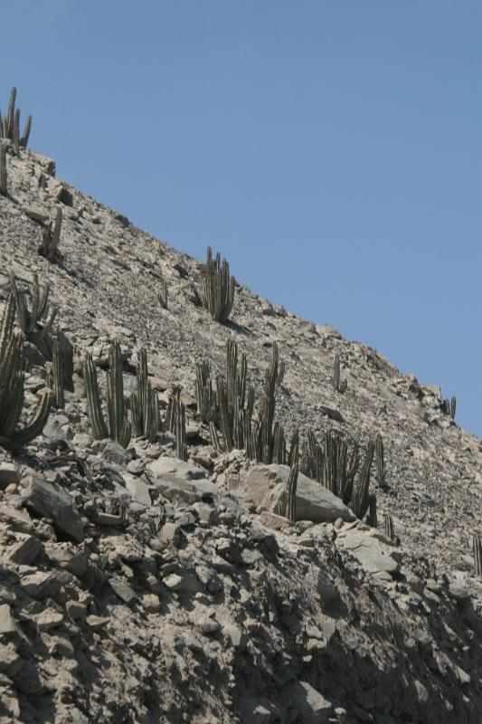 Peru 0368